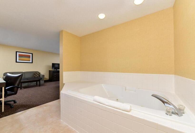 带大床的套房, Holiday Inn Express Hotel & Suites Charlotte, An Ihg