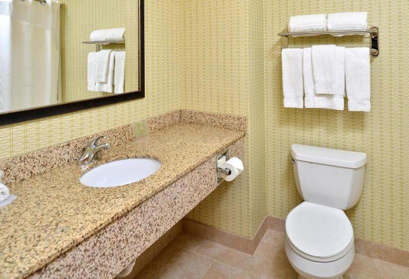适合残疾人士使用的带超级大床的标准间, Holiday Inn Express Hotel & Suites Charlotte, An Ihg