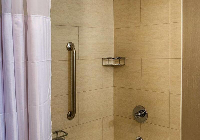 适合残疾人使用的标准间, Holiday Inn Express Hotel & Suites Charlotte, An Ihg