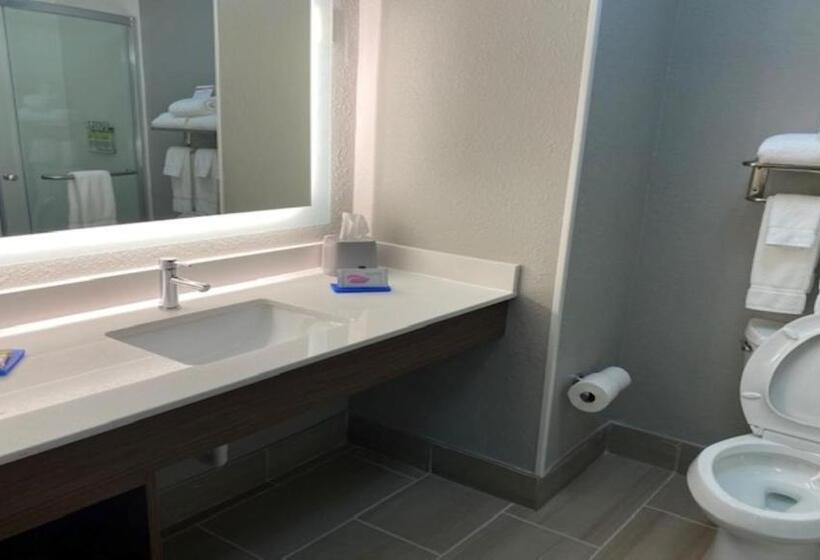 Люкс Кровать Кинг, Holiday Inn Express & Suites   Enterprise, An Ihg