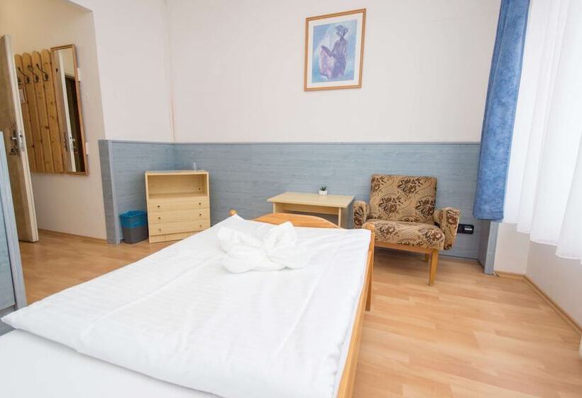 标准单人间, Sport Hotel Gejzirpark