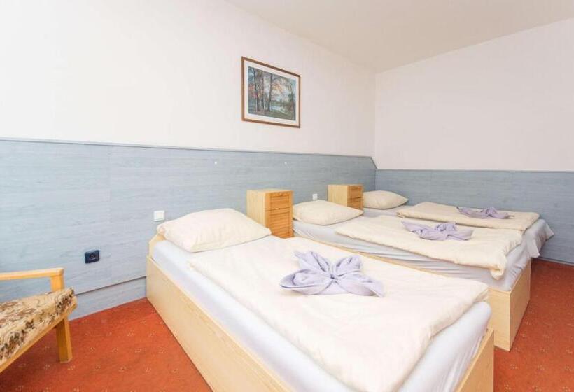 家庭间, Sport Hotel Gejzirpark