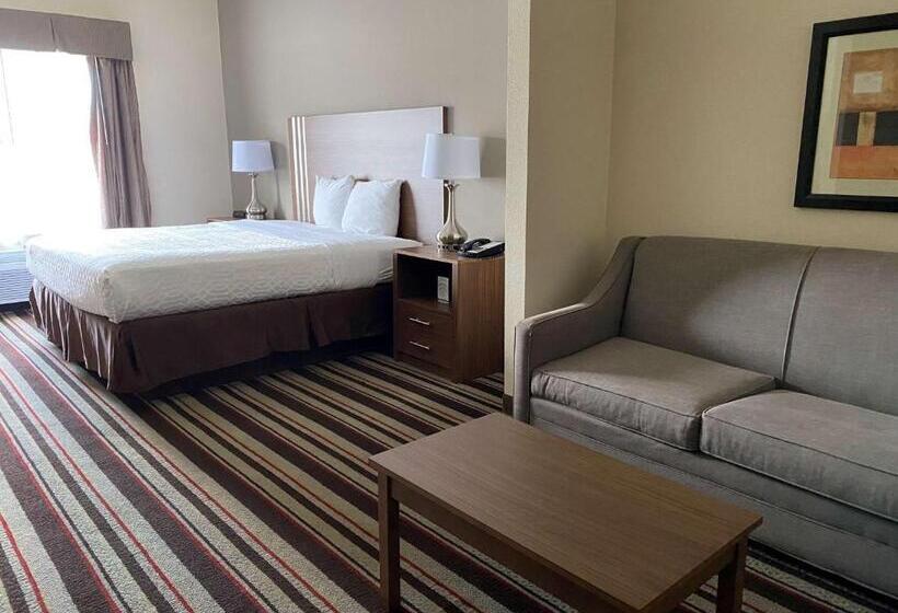 스탠다드 룸 킹사이즈 침대, Best Western Windsor Inn And Suites