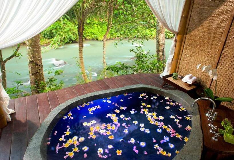 Люкс Вид на Реку, Fivelements Retreat Bali