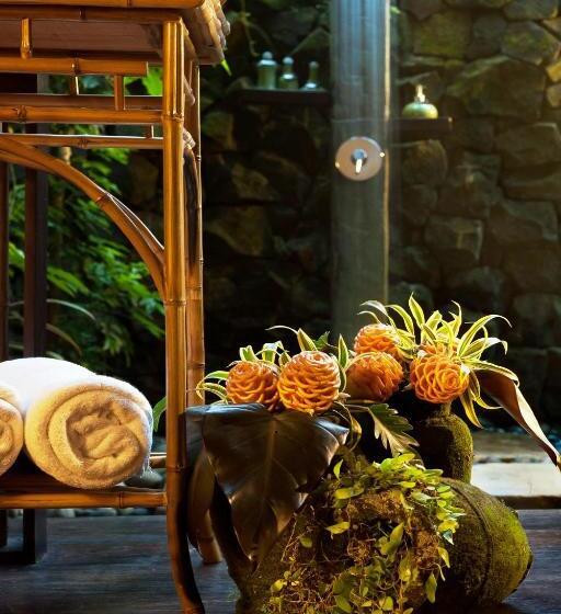 リバービュースイート, Fivelements Retreat Bali