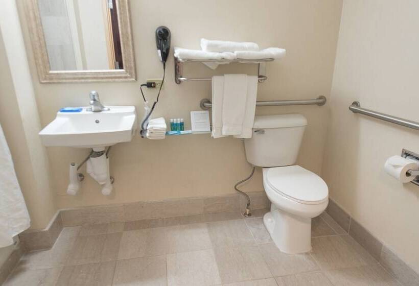 Люкс Адаптированный для Инвалидов, Holiday Inn Express Hotel & Suites Erie An Ihg