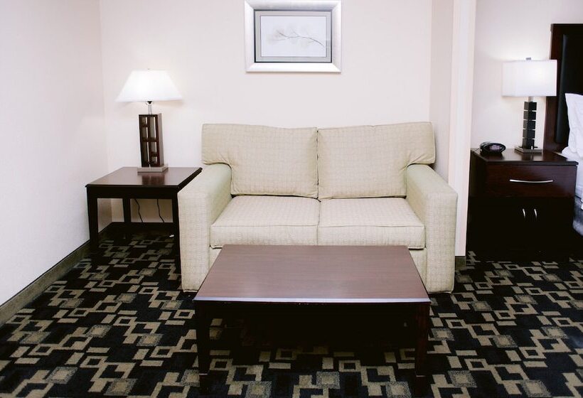 Люкс Адаптированный для Инвалидов, Holiday Inn Express Hotel Raleigh Southwest, An Ihg