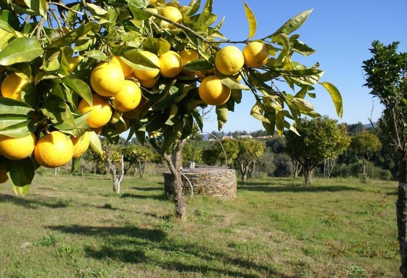 Номер Стандарт с Террасой, Herdade Do Freixial   Turismo Rural
