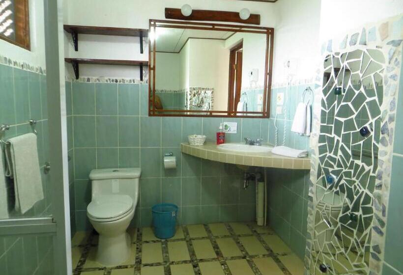小型套房, Guayabo Lodge
