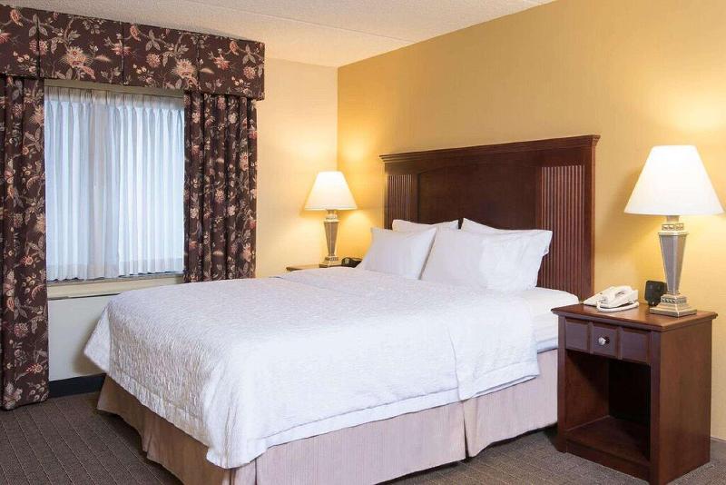 스탠다드 룸 킹사이즈 침대, Hampton Inn Schenectady Downtown
