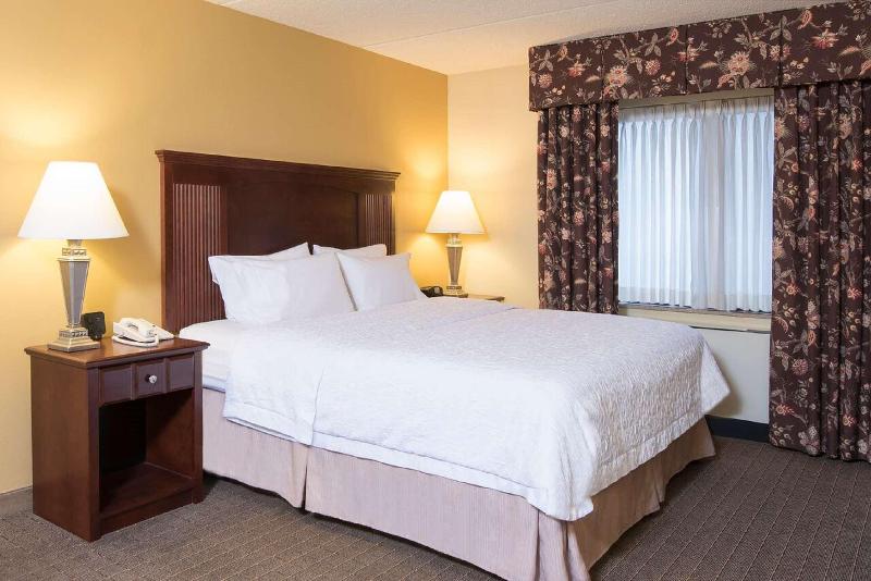 스탠다드 룸 킹사이즈 침대, Hampton Inn Schenectady Downtown