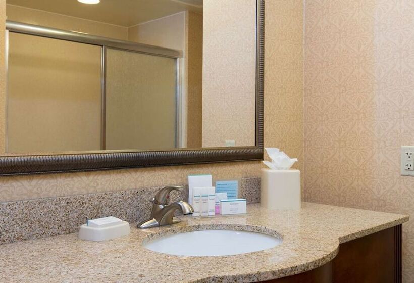 스위트, Hampton Inn Schenectady Downtown
