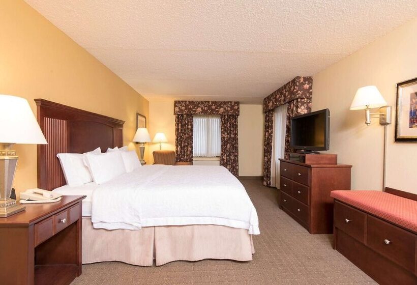 스위트, Hampton Inn Schenectady Downtown