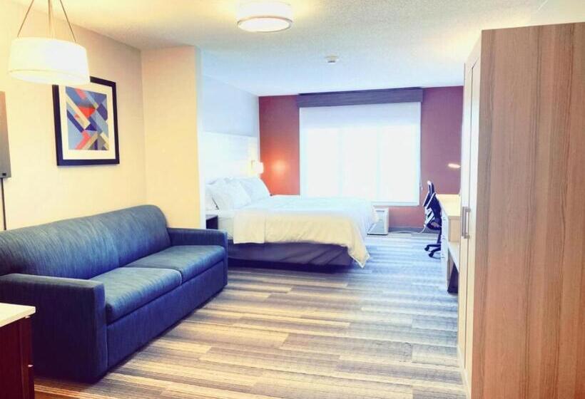 Люкс Кровать Кинг, Holiday Inn Express Hotel & Suites Logansport, An Ihg