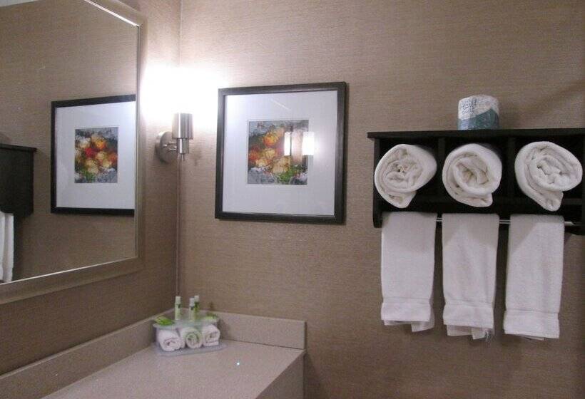 スタンダードルーム, Holiday Inn Express Cloverdale   Greencastle, An Ihg