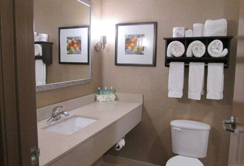 デラックスルーム, Holiday Inn Express Cloverdale   Greencastle, An Ihg