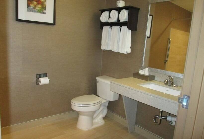 身障者適用スイートルーム, Holiday Inn Express Cloverdale   Greencastle, An Ihg