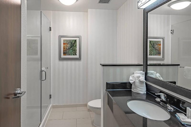 身障者適用スタンダードルーム, Holiday Inn Express Cloverdale   Greencastle, An Ihg