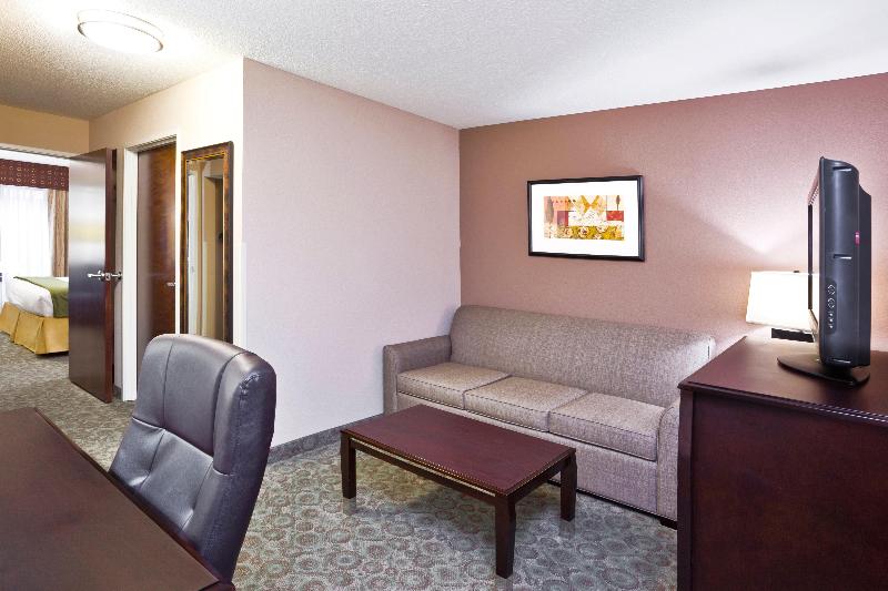 스탠다드 룸 킹사이즈 침대, Holiday Inn Express Hotel & Suites Van Wert, An Ihg