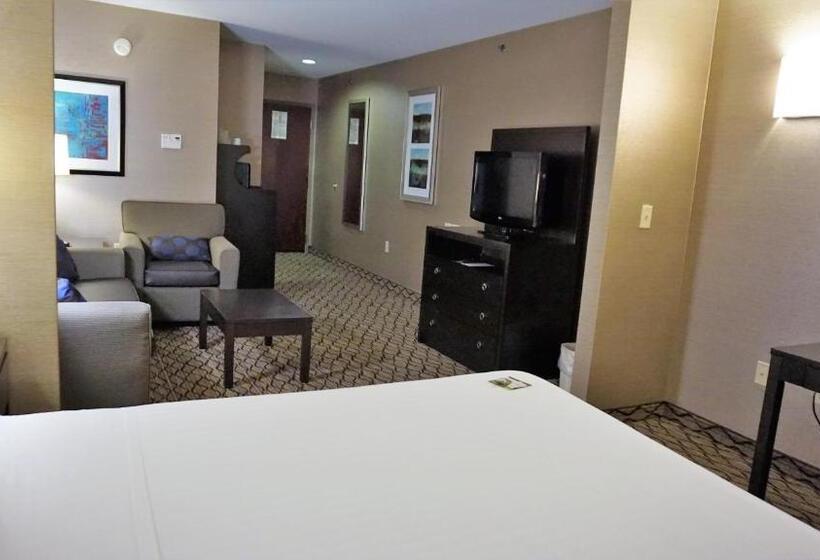 小型套房, Holiday Inn Express & Suites Gibson, An Ihg