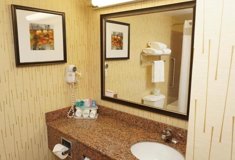 带双人大床的行政管理套房, Holiday Inn Express & Suites Gibson, An Ihg