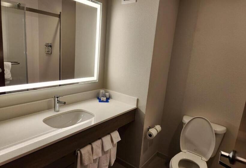 Номер Executive Кровать Кинг, Holiday Inn Express & Suites Perry, An Ihg