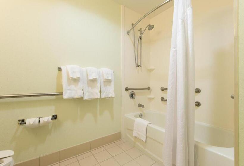 Номер Стандарт Двуспальная Кровать Адаптированный для Инвалидов, Holiday Inn Exp Walterboro By Ihg