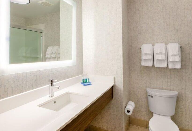 Номер Стандарт Двуспальная Кровать Адаптированный для Инвалидов, Holiday Inn Exp Walterboro By Ihg