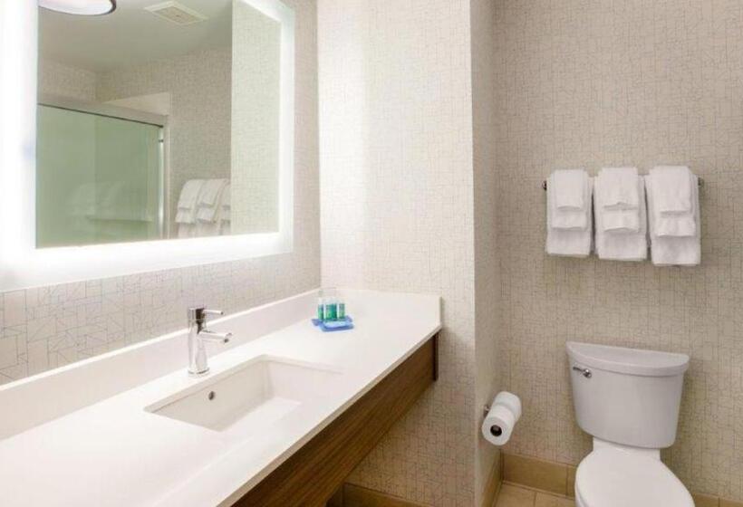Номер Стандарт Кровать Кинг Адаптированный для Инвалидов, Holiday Inn Exp Walterboro By Ihg