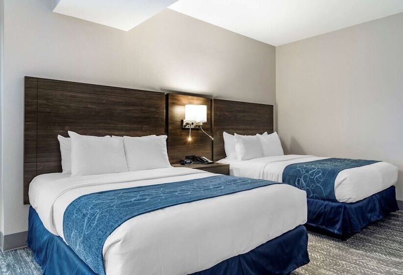 Люкс Адаптированный для Инвалидов, Comfort Suites Mcdonough Atlanta South