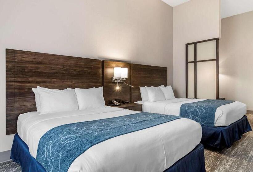 Люкс, Comfort Suites Mcdonough Atlanta South