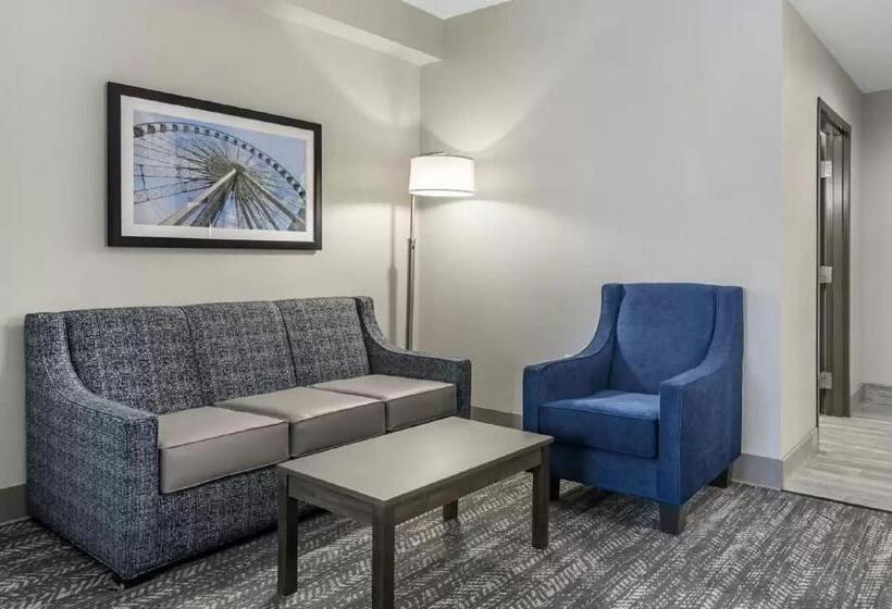 Люкс Адаптированный для Инвалидов, Comfort Suites Mcdonough Atlanta South