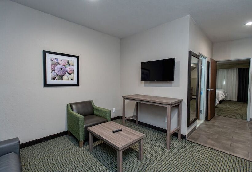 Люкс, Holiday Inn Express Hotel And Suites Port Aransas/beach Area, An Ihg