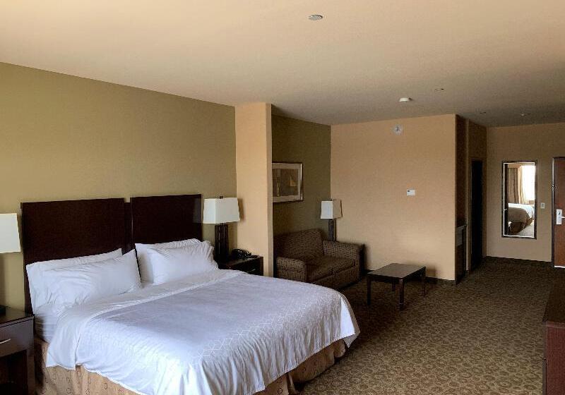 Стандартный Номер Кровать Кинг, Holiday Inn Express & Suites Pecos, An Ihg