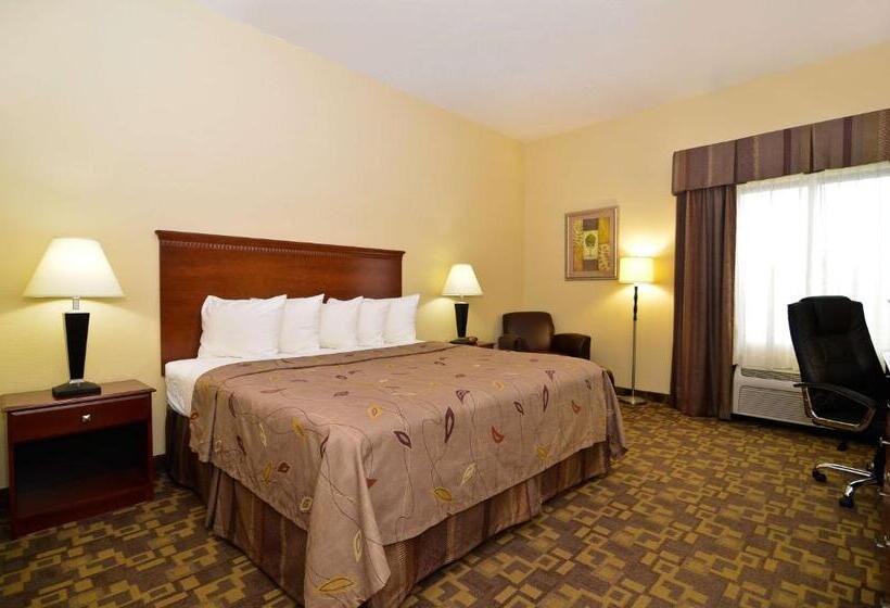 Номер Стандарт Кровать Кинг Адаптированный для Инвалидов, Best Western Opp Inn