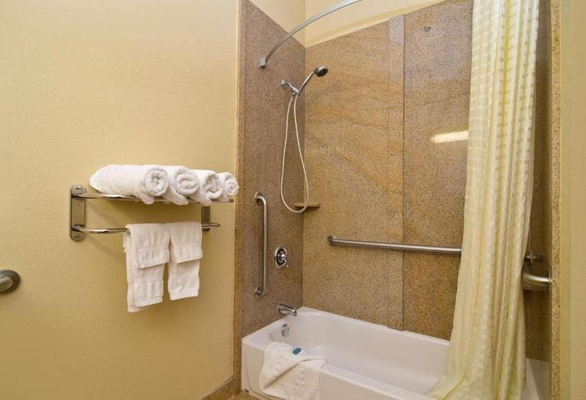 Номер Стандарт Адаптированный для Инвалидов, Best Western Opp Inn