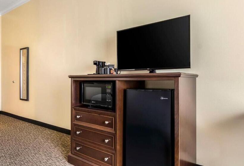 스탠다드 룸 킹사이즈 침대, Best Western Plus Grapevine Inn