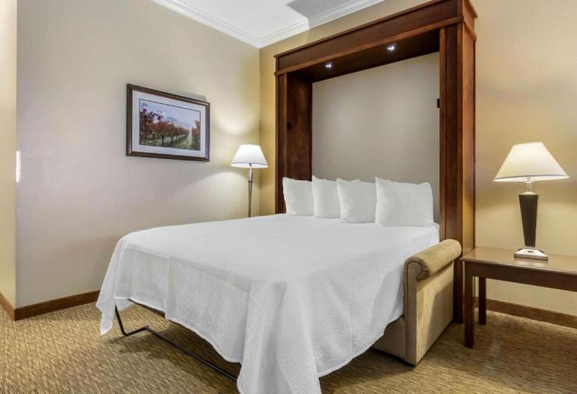 장애인을 위한 스탠다드 룸, Best Western Plus Grapevine Inn