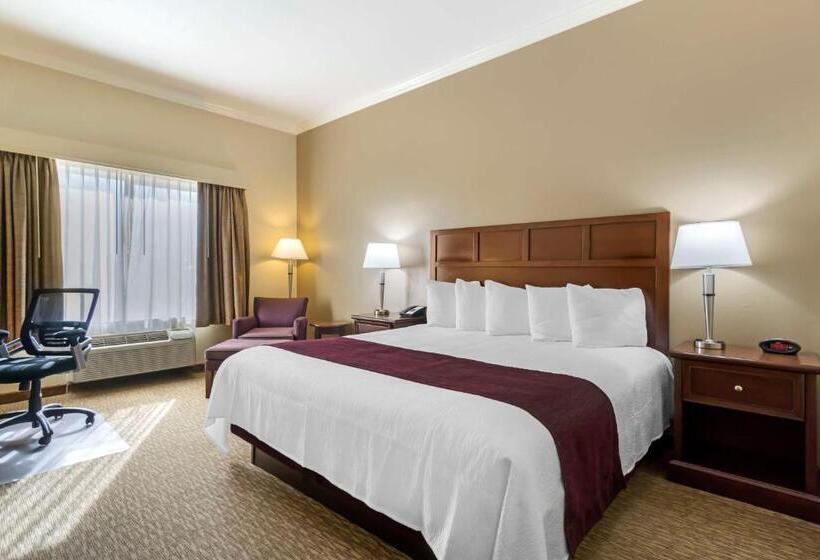 장애인을 위한 킹사이즈 침대 스탠다드 룸, Best Western Plus Grapevine Inn