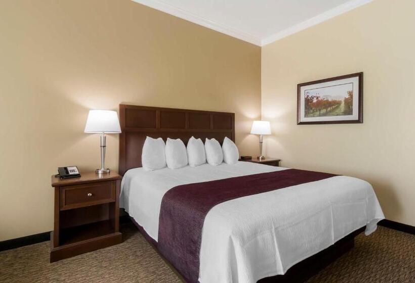 장애인을 위한 킹사이즈 침대 스탠다드 룸, Best Western Plus Grapevine Inn