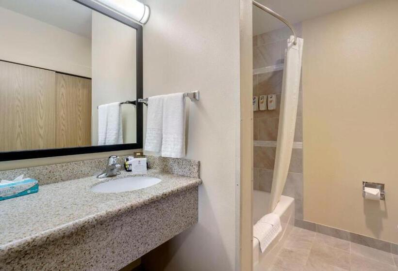 스위트 킹사이즈 침대, Best Western Plus Grapevine Inn