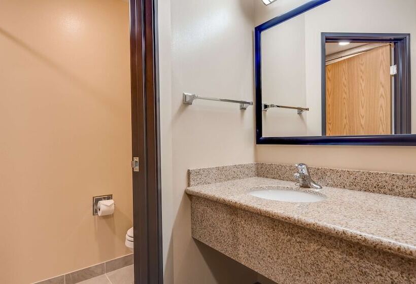 스탠다드 룸 더블 침대 2개, Best Western Plus Grapevine Inn