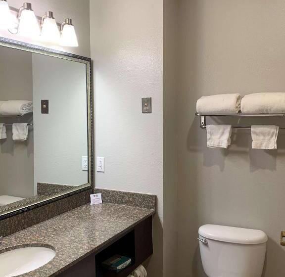 Стандартный Номер Кровать Кинг, Best Western Plus Lake Worth