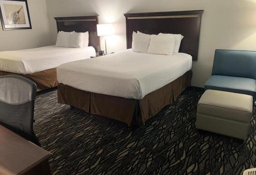 Номер Стандарт, Best Western Plus Lake Worth