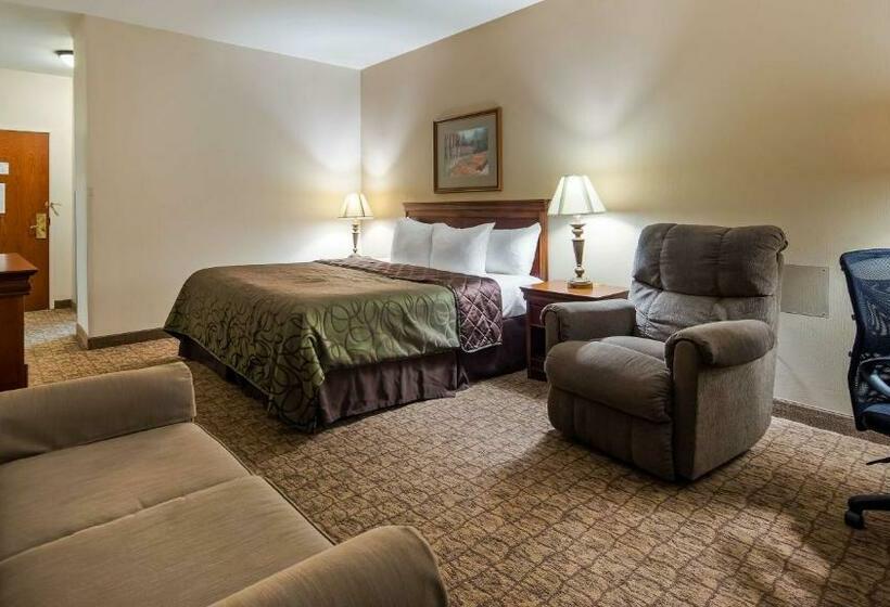스탠다드 룸 킹사이즈 침대, Best Western River Cities