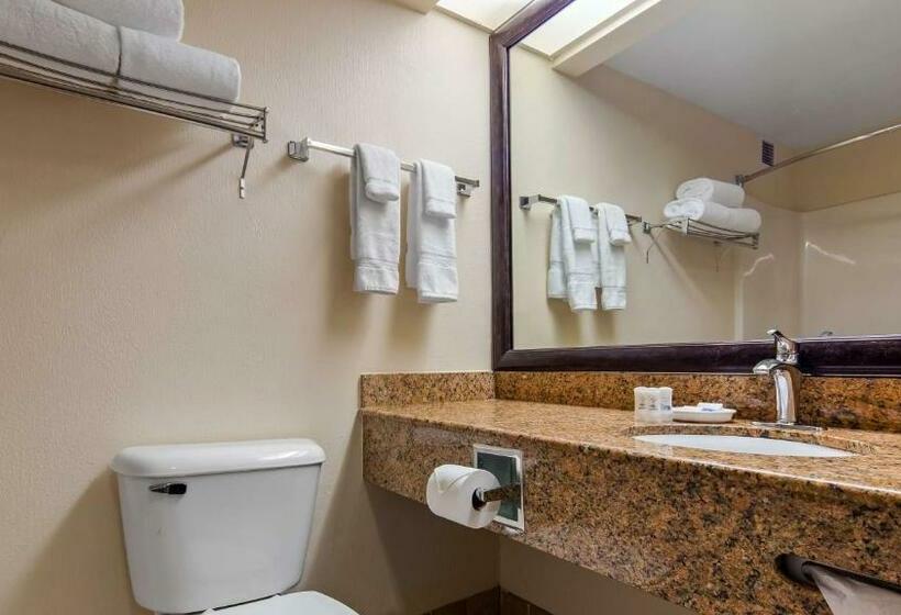 스탠다드 룸 킹사이즈 침대, Best Western River Cities
