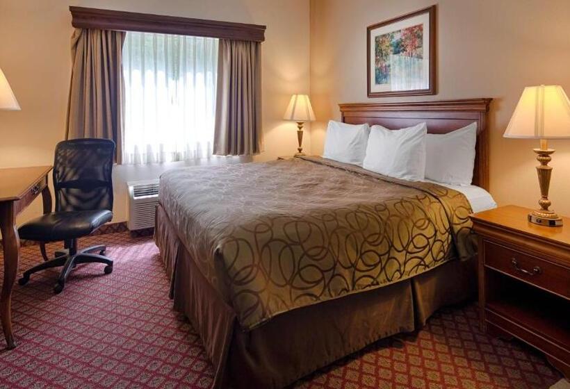 스탠다드 룸 킹사이즈 침대, Best Western River Cities