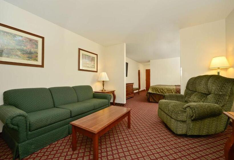 장애인을 위한 킹사이즈 침대 스탠다드 룸, Best Western River Cities