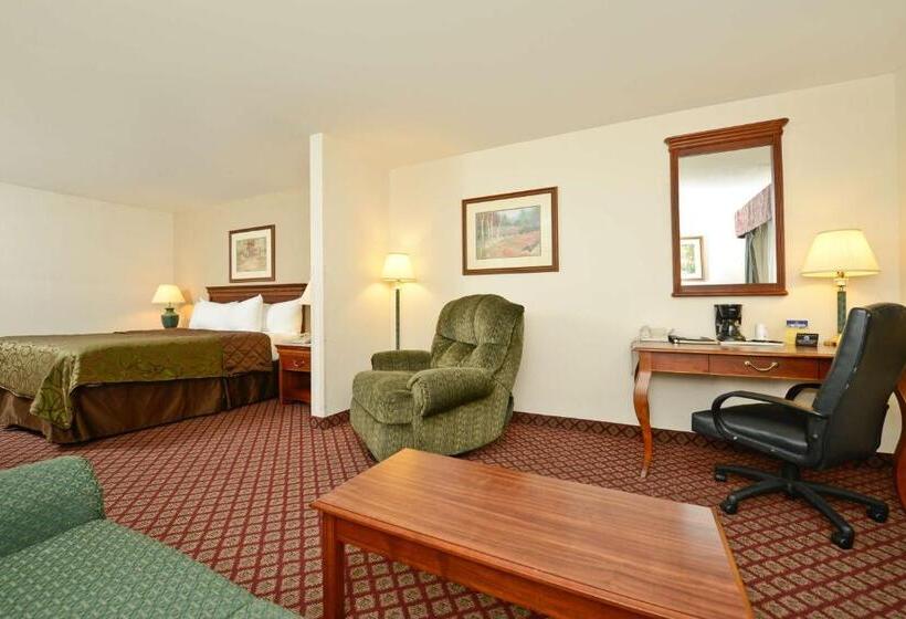 장애인을 위한 킹사이즈 침대 스탠다드 룸, Best Western River Cities