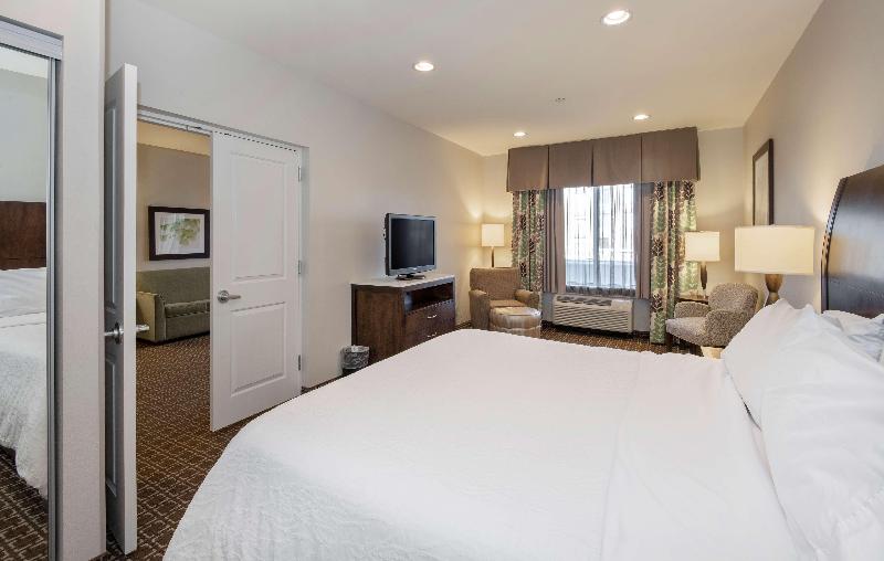 带大床的套房, Hilton Garden Inn Raleigh Cary